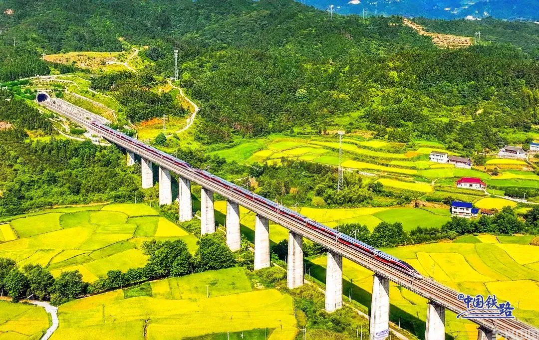 金灿灿黄澄澄！看复兴号穿越秋日稻田(图14)