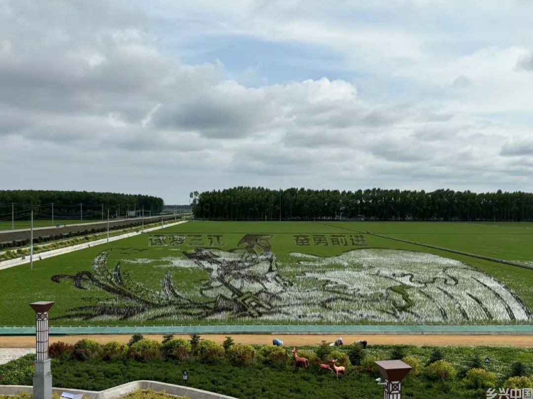 “新”意盎然建三江——北大荒建三江分公司发展农业新质生产力纪实(图3)