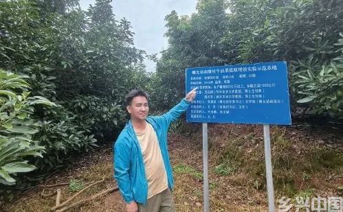 牛油果：从“洋水果”到“土特产”(图5)