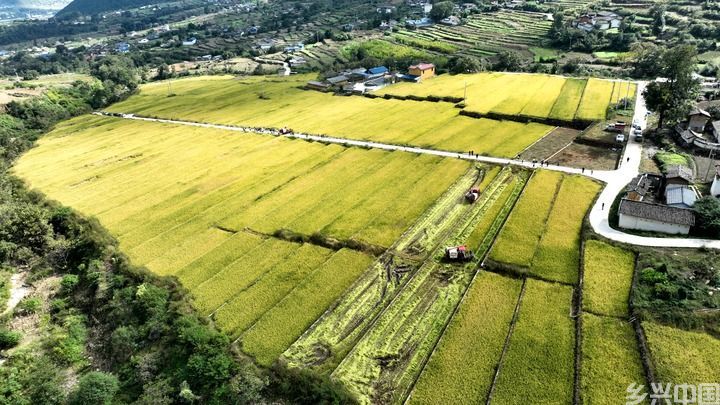安宁河谷“寻”粮记(图11)