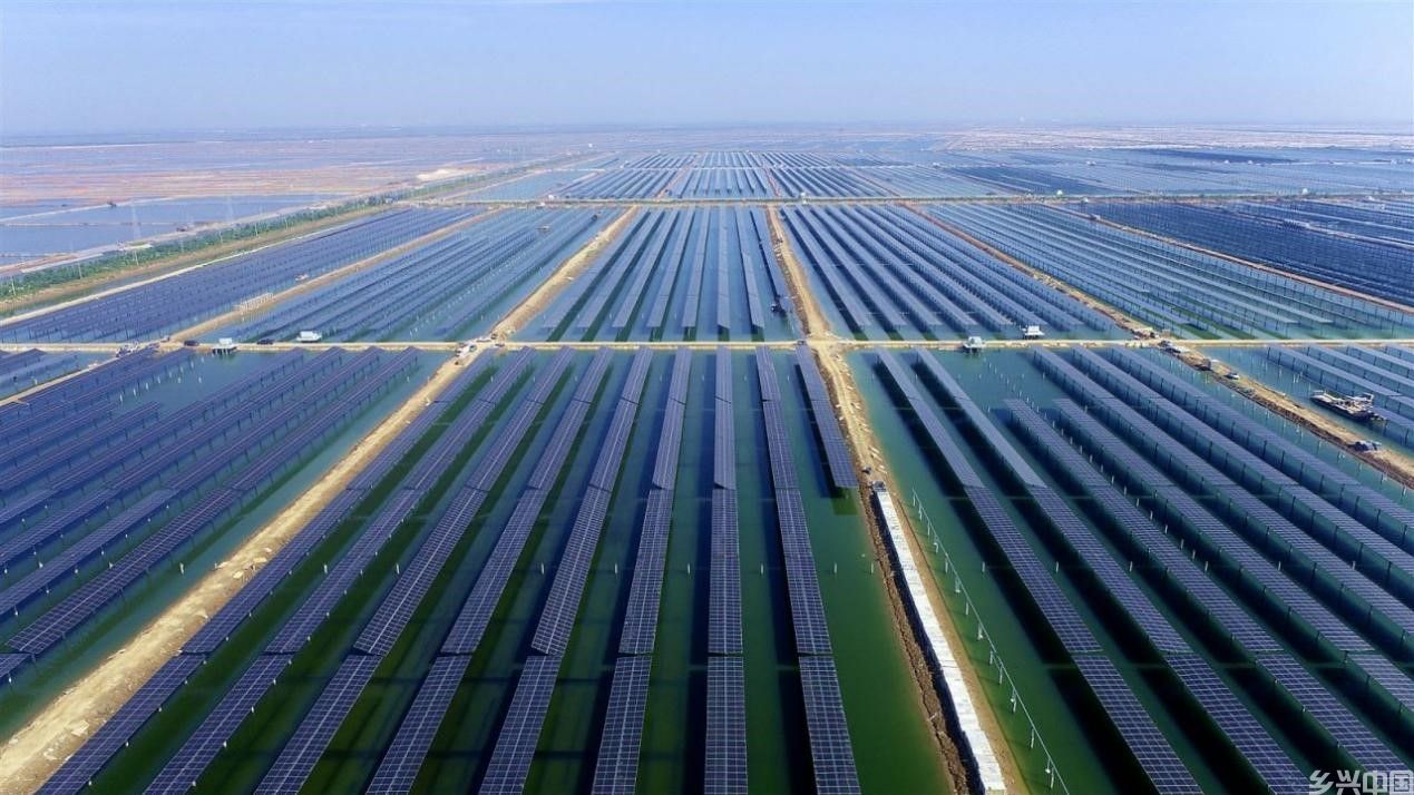 800MW“渔光互补”光伏项目。王文鹏摄