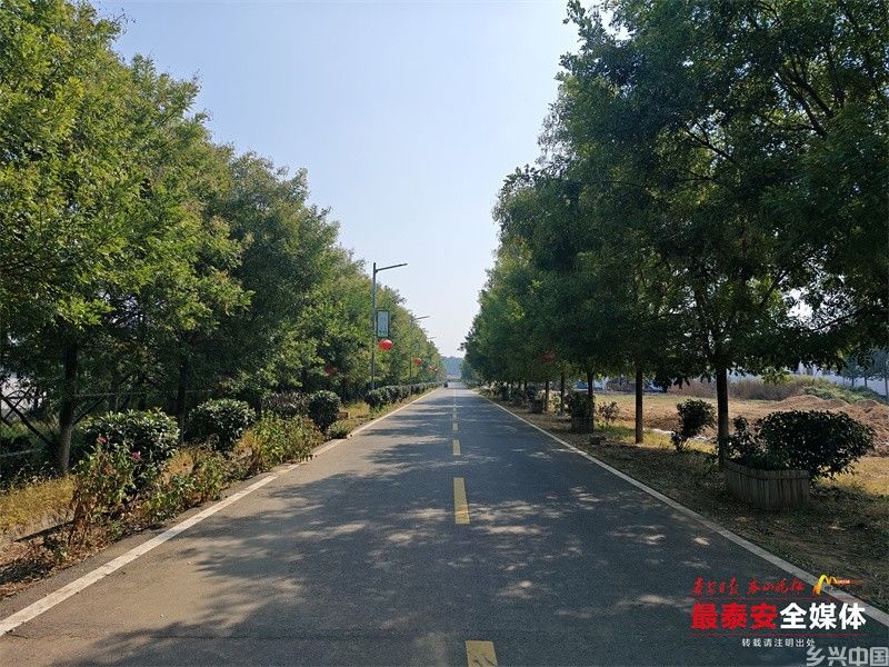 筑路兴农 打造新时代农村的幸福通途(图5)