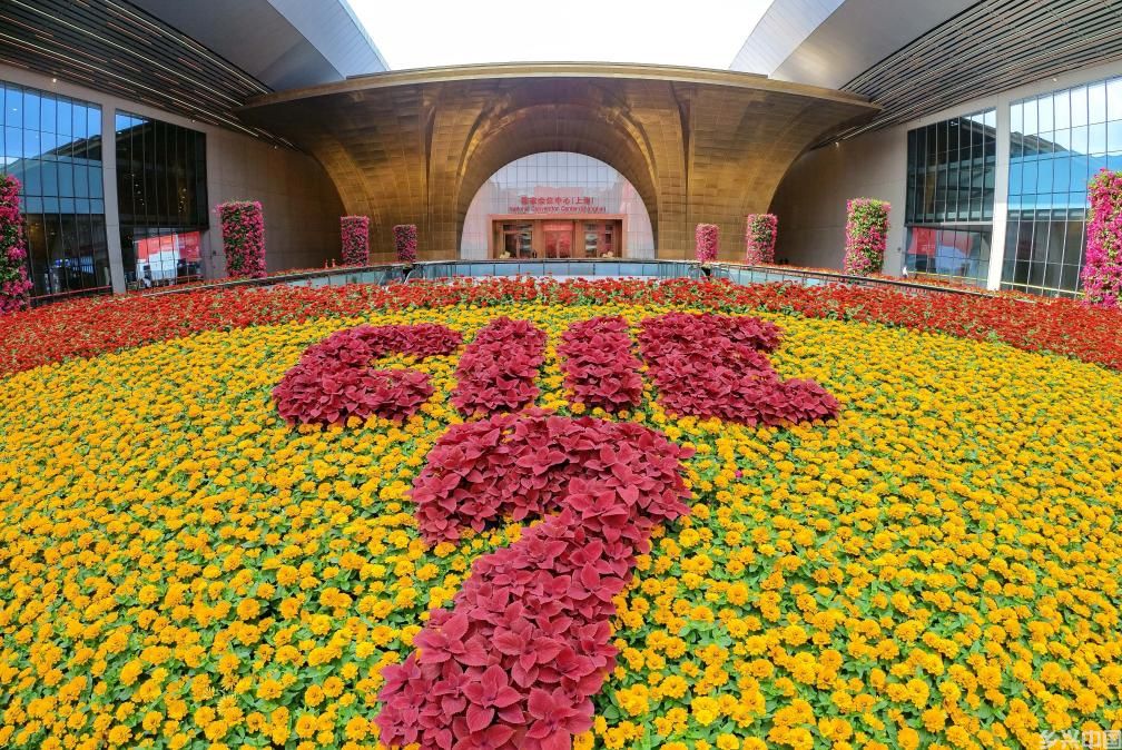 第七届进博会丨综述：新西兰食品企业长期看好中国市场(图2)