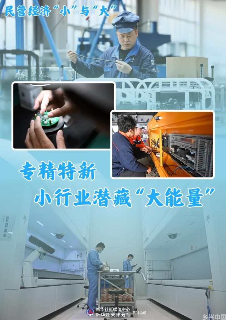 专精特新，小行业潜藏“大能量”(图1)