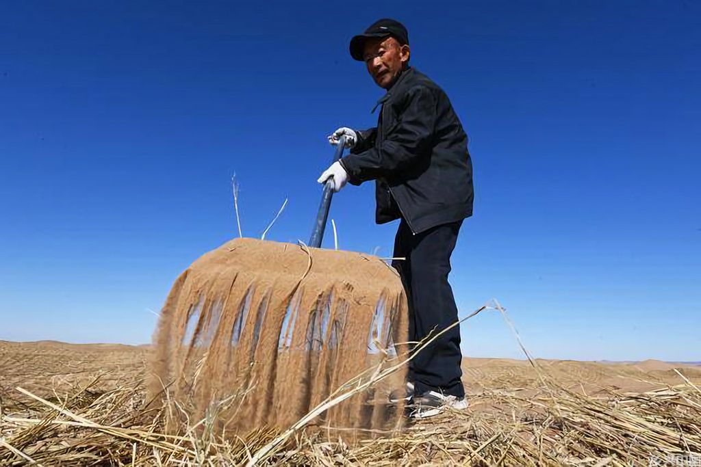 11月16日，在民勤县东湖镇境内的腾格里沙漠西缘，工人进行工程固沙。新华社记者 范培珅 摄