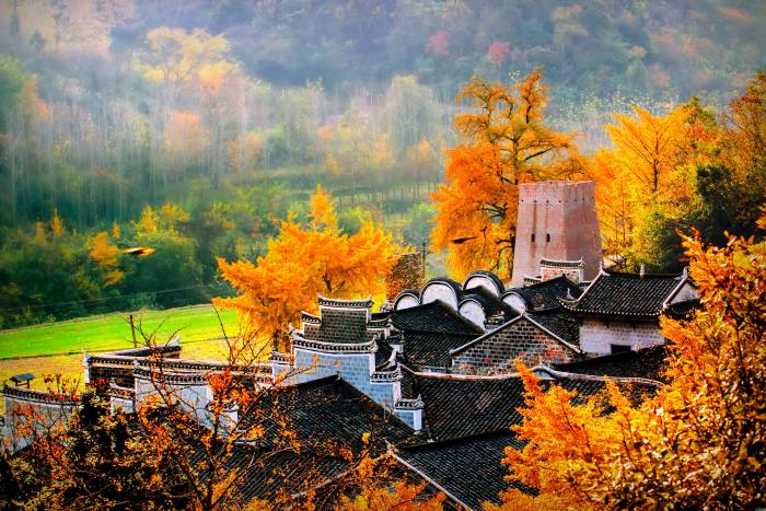 湖北安陆：农文旅融合共谱华章(图1)