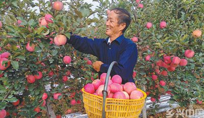 走上国际餐桌,特色农产品香飘海外(图4)