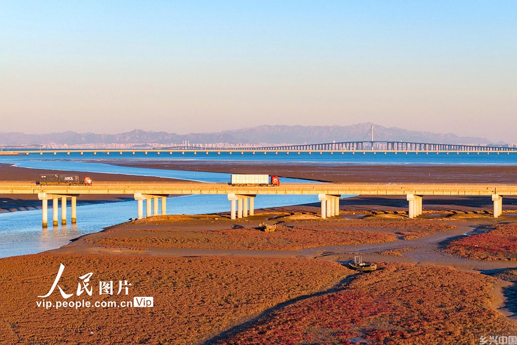 山东青岛：红海滩冬日景色美【6】