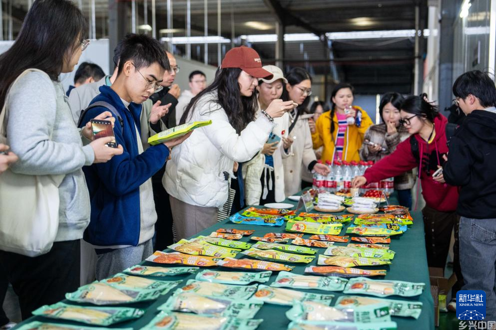 湖南桃江：竹笋深加工拓宽发展之路(图4)