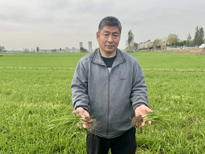 微生物“大显身手” 助力农业绿色增产(图1)