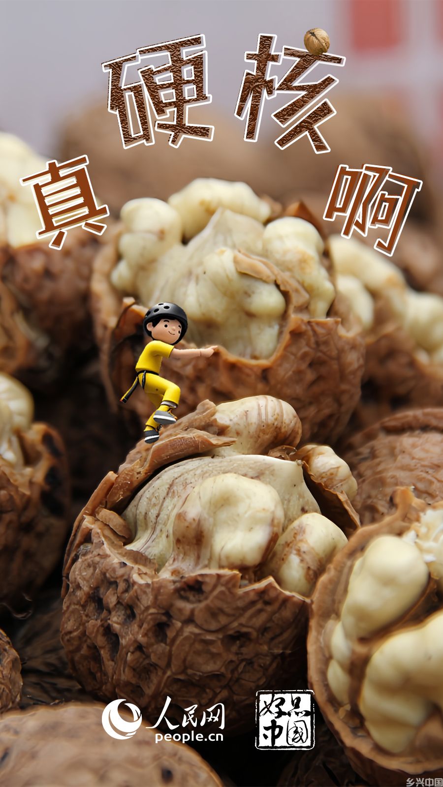 在有风的地方，山水共育“树上油库”(图1)