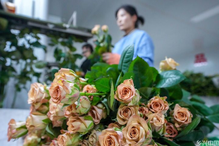 锦绣大地满目新——西部地区乡村振兴观察(图5)