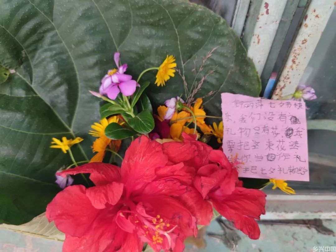 没有编制的年轻村医(图5)
