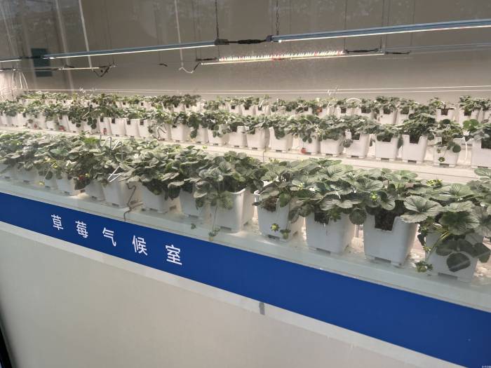 逐梦振兴看姑苏——苏州市深化改革推动高水平率先基本实现农业农村现代化(图10)