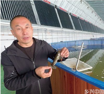 砥砺前行中的合作社(图2)