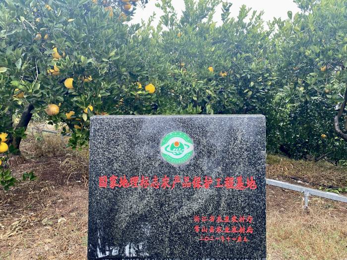 浙江常山：“一只果”赋能一座城(图4)
