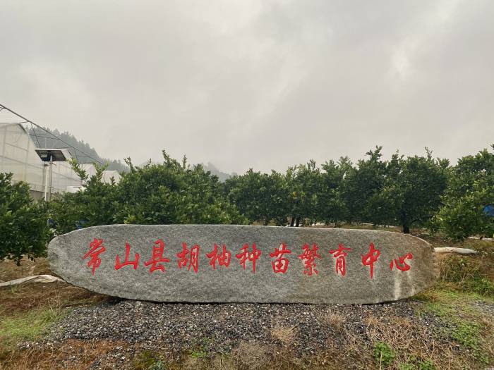 浙江常山：“一只果”赋能一座城(图5)