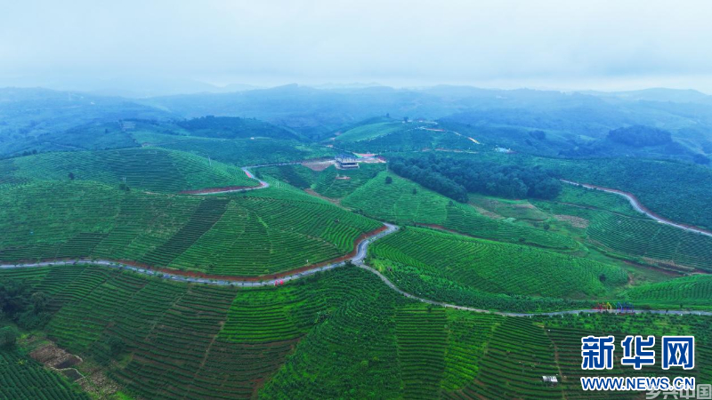 云南景洪：“黎明之城”迈进旅居时代(图4)