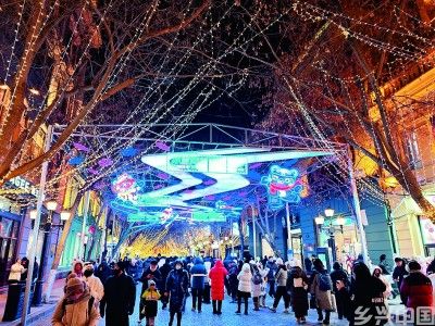 黑龙江：玉树琼花迎宾朋(图4)