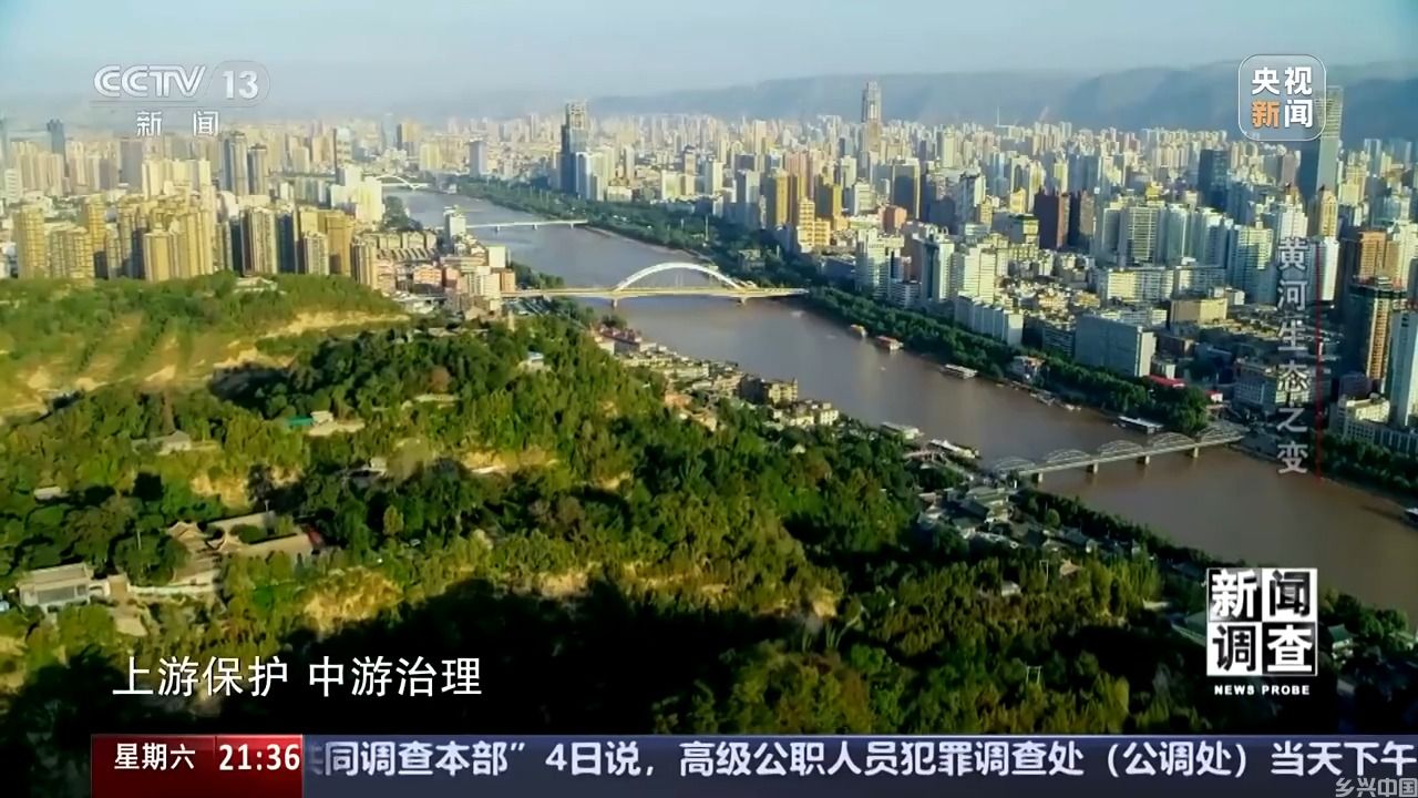 如何了解黄河生态之变？看看这些鸟儿就知道(图4)
