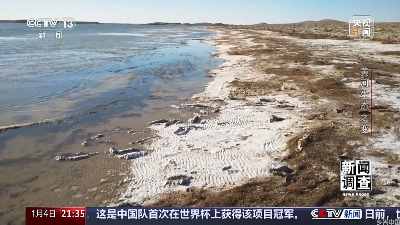 如何了解黄河生态之变？看看这些鸟儿就知道(图3)