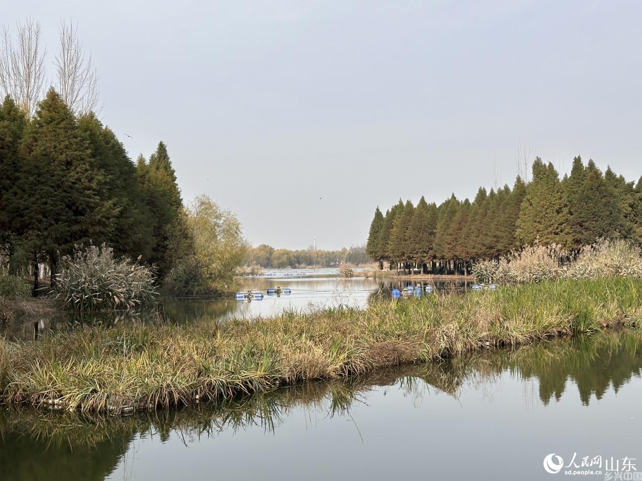 人工湿地末端，曝气机与生态浮岛形成过滤屏障。人民网 乔姝摄