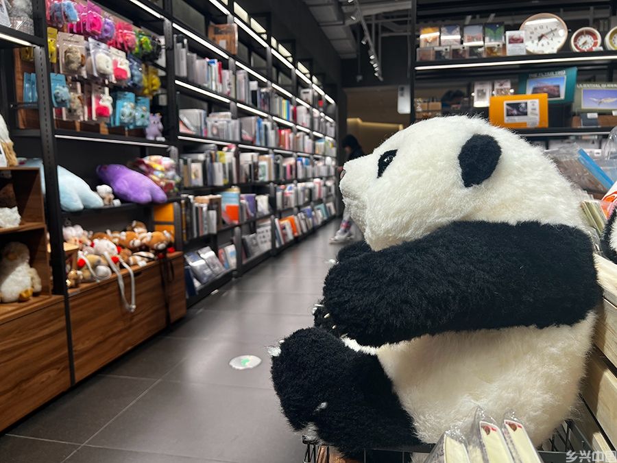首店的魅力(图2)