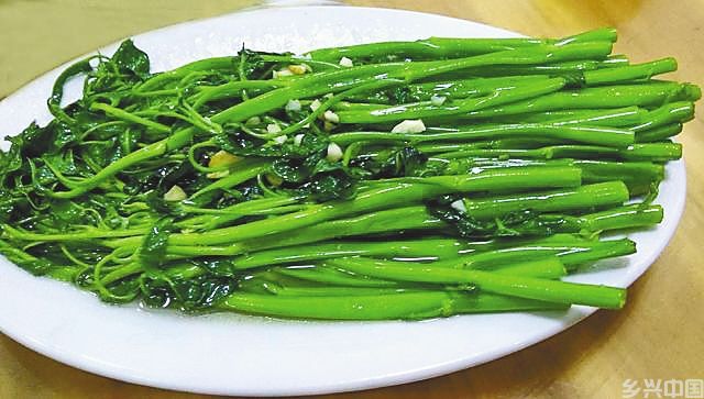 多文空心菜(图1)