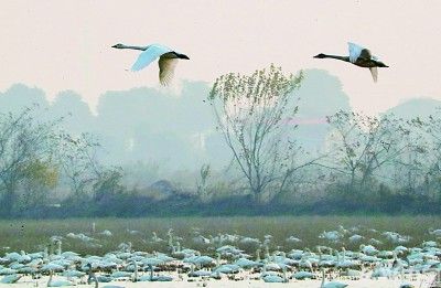 乡村新画卷正徐徐展开——多地奋发有为推动乡村全面振兴取得新成效