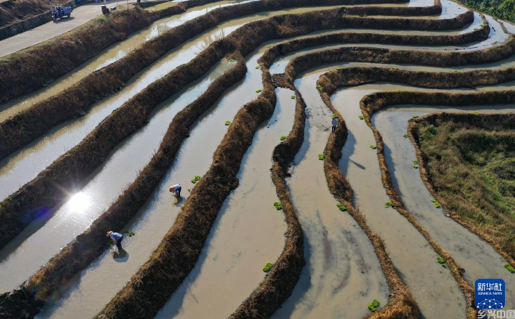 海南五指山：春耕正当时(图7)