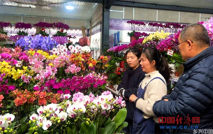 花卉市场年味浓 年宵花经济火出圈(图4)
