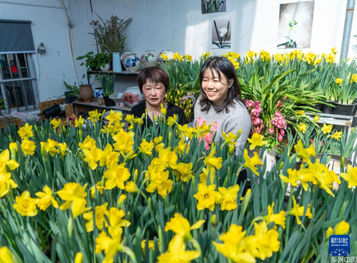 年味渐浓迎春节(图22)