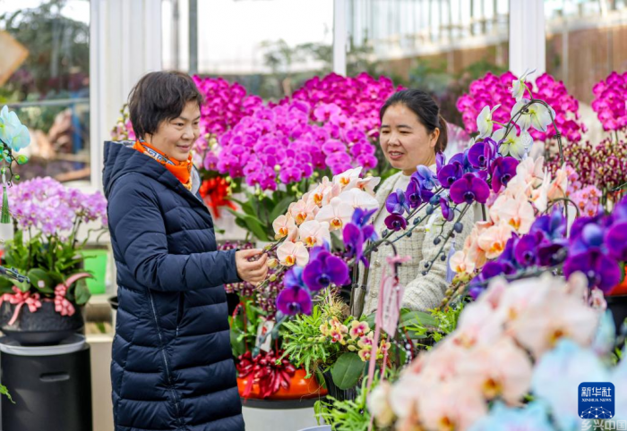 年味渐浓迎春节(图29)