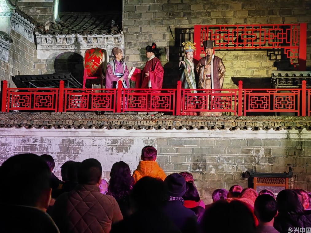 新春走基层丨这个江南水乡，古树都戴上了“身份证”(图5)