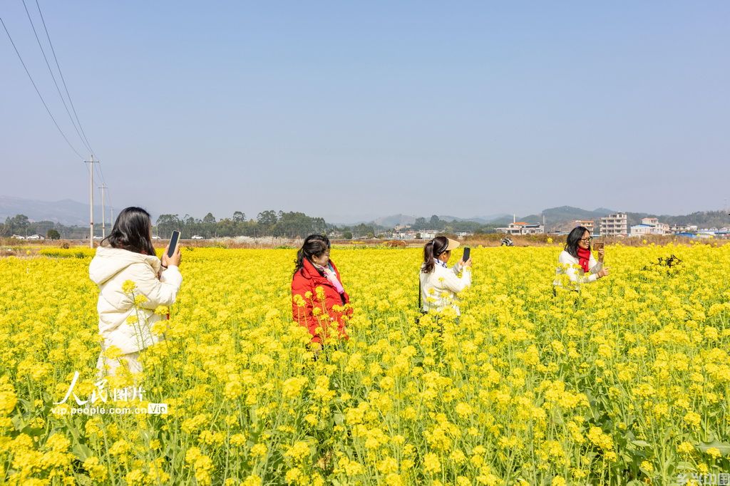 广西蒙山：春暖花开乡村美【2】