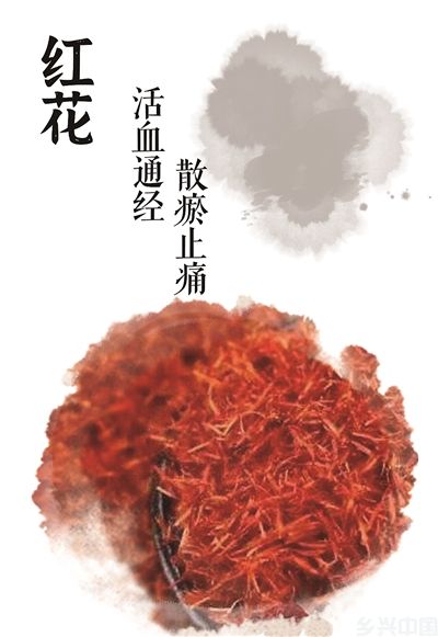 “哪吒”电影里的中药，都有哪些功效(图3)