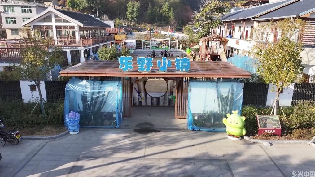 小盆栽大产业 “多肉经济”激活老区发展新动能(图7)