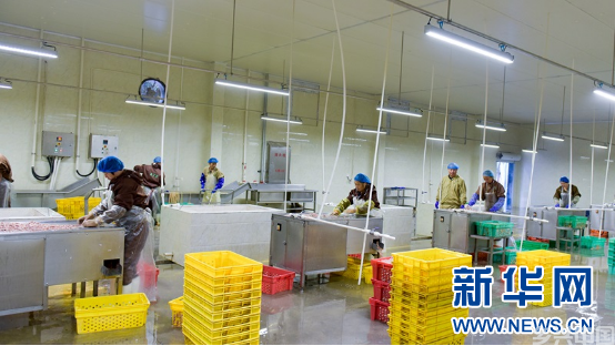 从“一企富”到“一起富” 福建光泽的乡村振兴新实践 (图5)