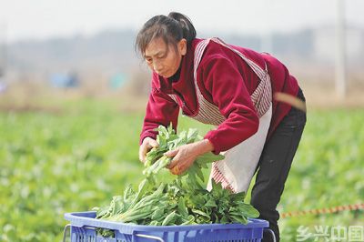 强信心增力量 决胜“十四五”·协调发展(图4)