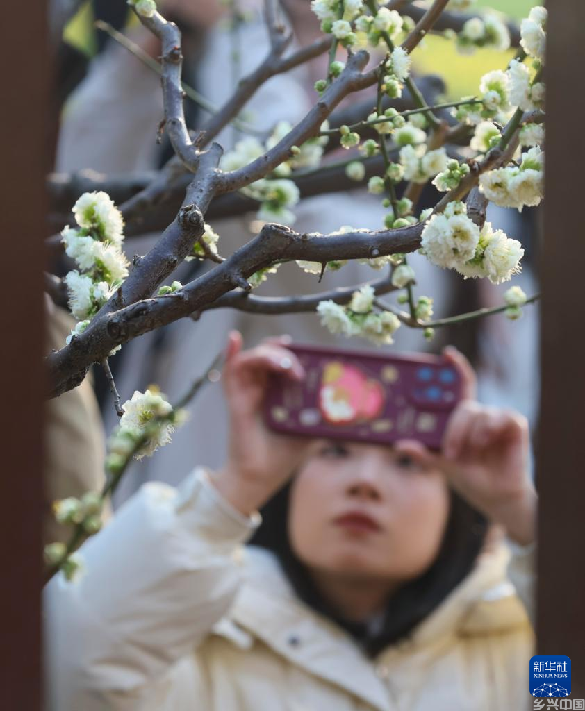 拥抱春天(图4)
