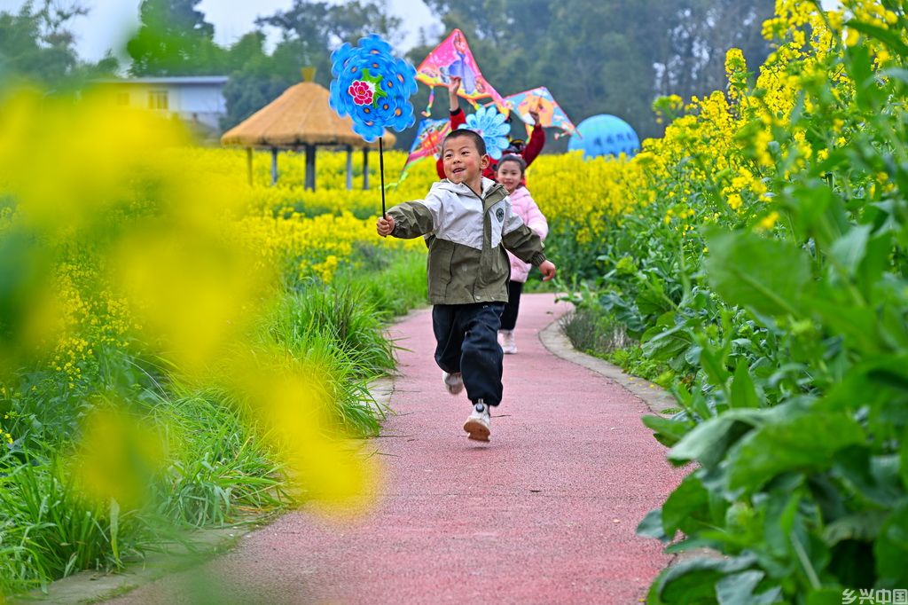 3月9日，小朋友在四川省眉山市仁寿县青岗乡盘龙村的油菜花丛中游玩。新华社发（潘建勇摄）
