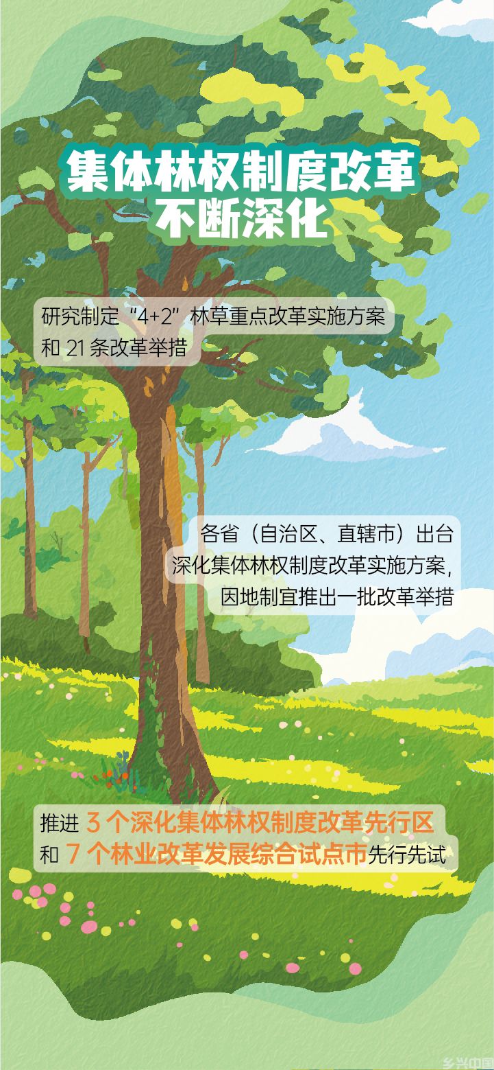 森林覆盖率超25% 我国国土绿化工作取得新成效(图6)
