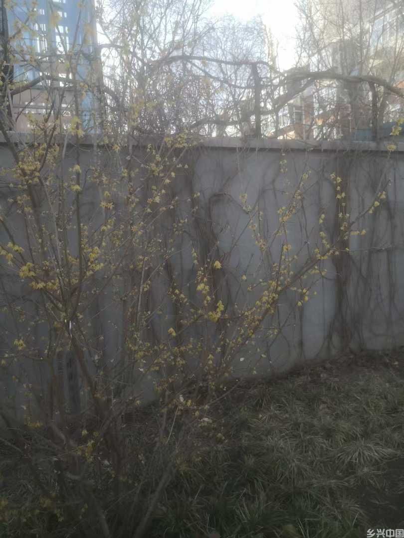 微信图片_20250313090128.jpg