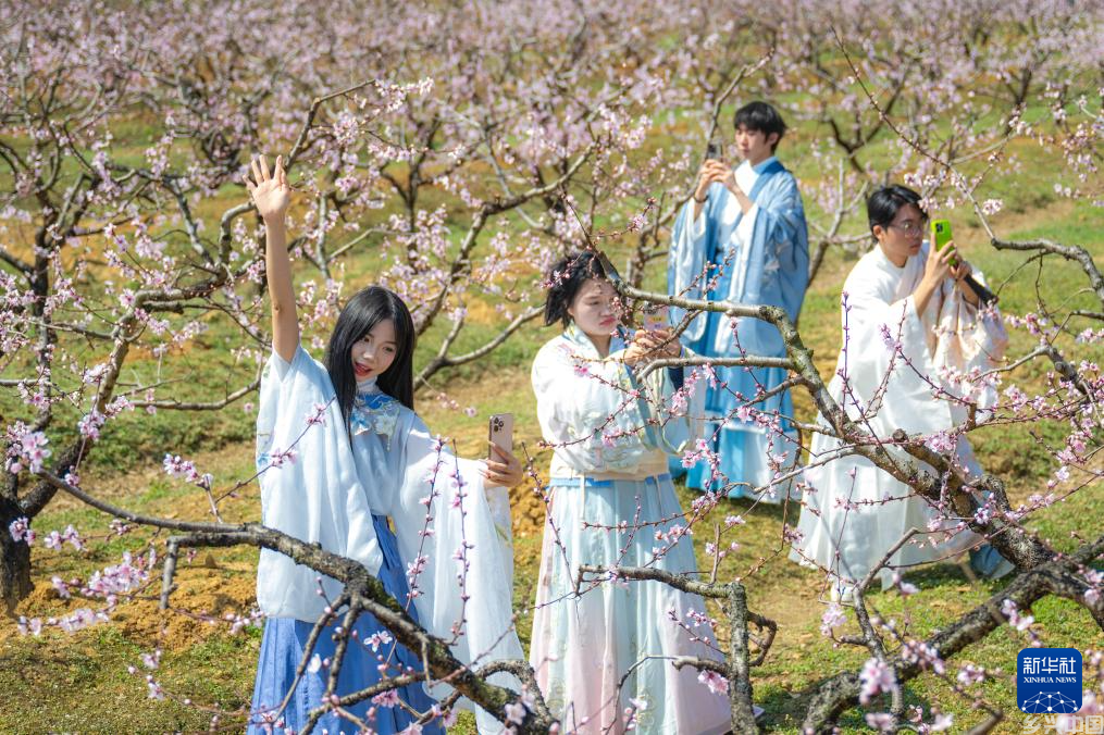 尽享春日芳华(图5)