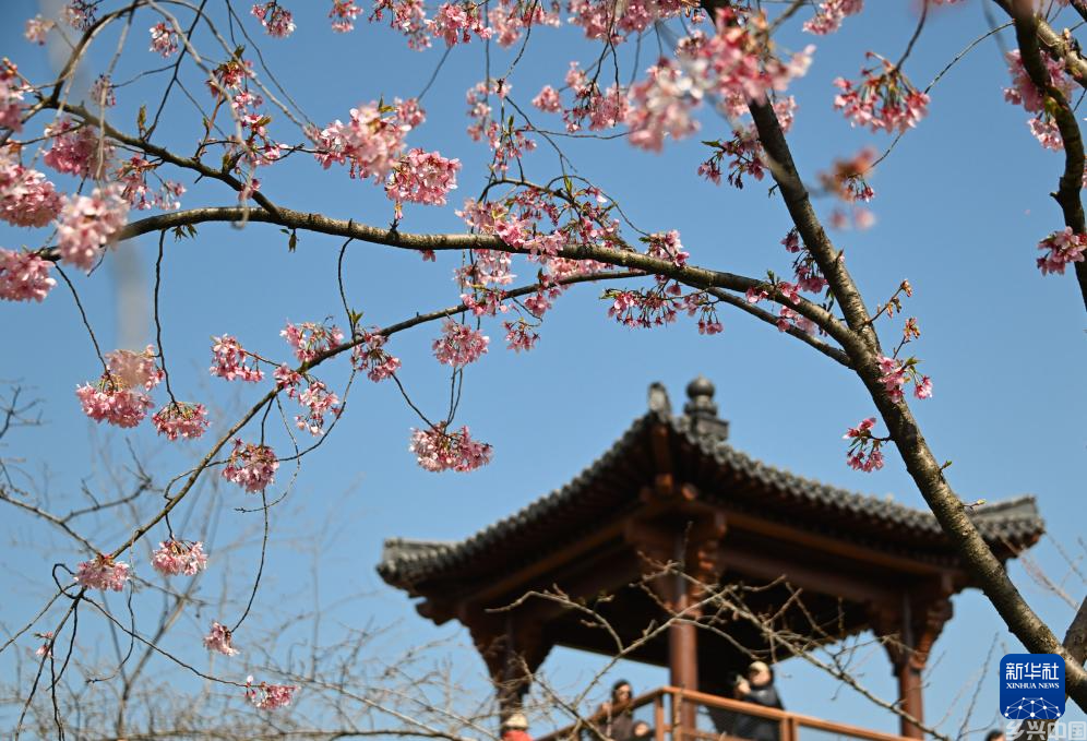 尽享春日芳华(图10)