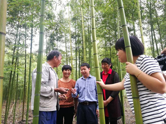 竹笋产业如何守住“舌尖上的鲜味”？(图4)