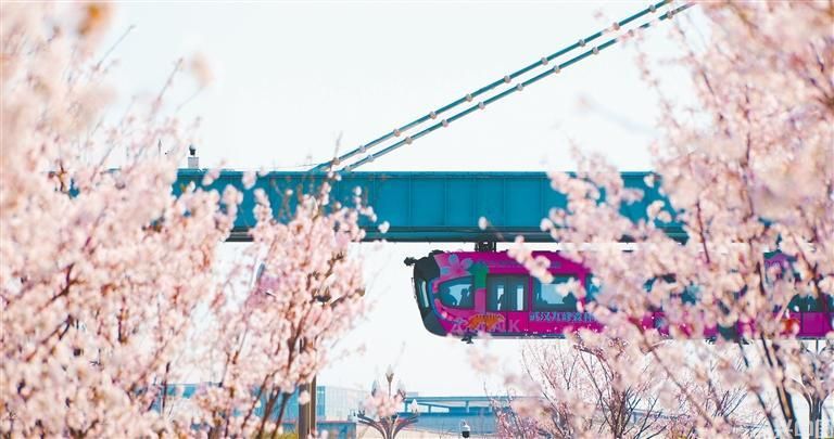 花动江城(图2)