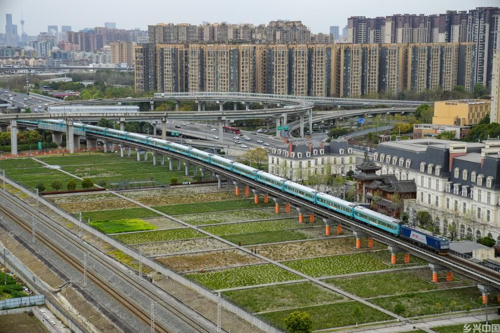 银发旅游专列激发“春日经济”新活力(图1)