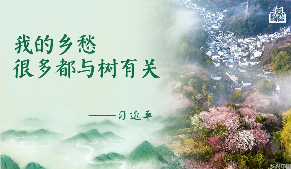 学习新语|“义务植树是全民行动”(图1)