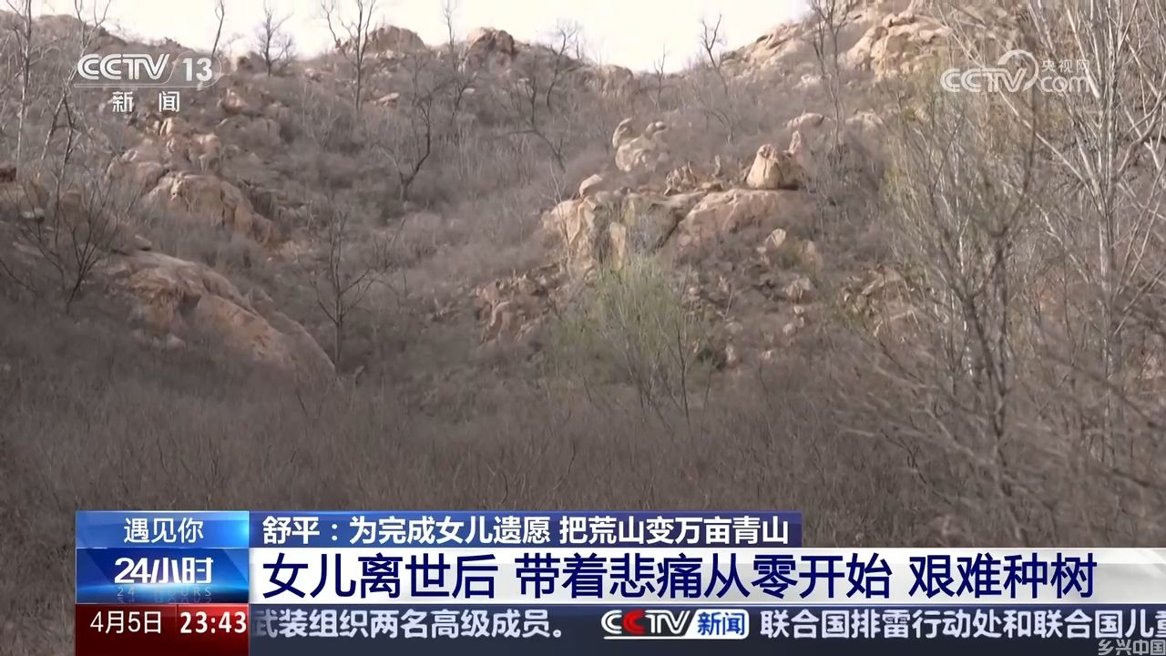为完成女儿遗愿 她把荒山变万亩青山(图4)